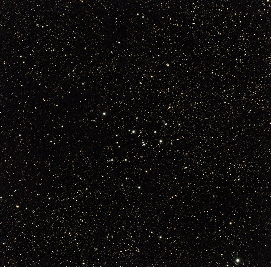 922171_00.png.png